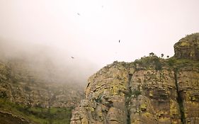 Cape Vulture Conservancy