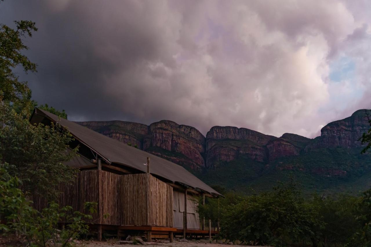 Cape Vulture Conservancy Hoedspruit Exterior foto