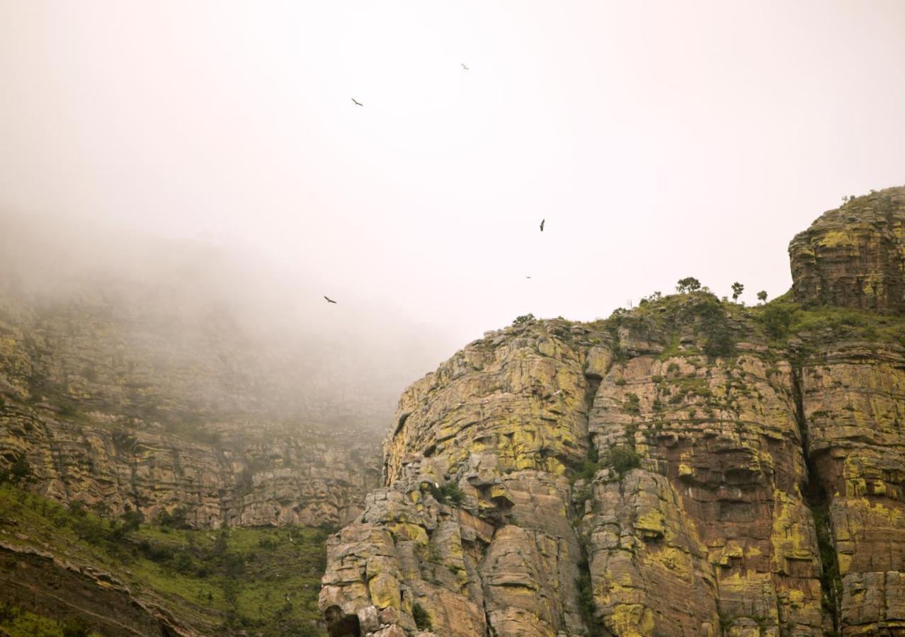 Cape Vulture Conservancy Hoedspruit Exterior foto