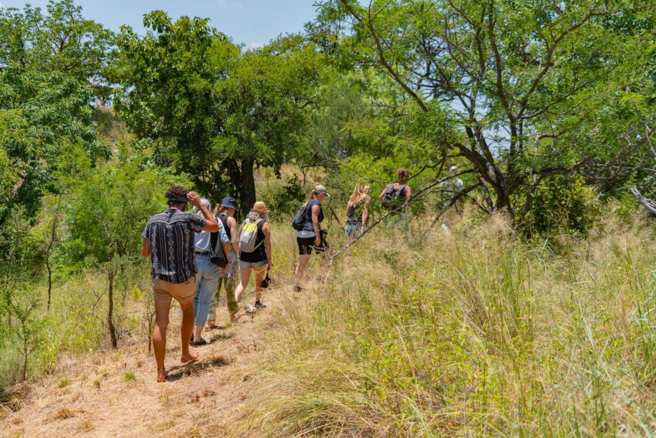 Cape Vulture Conservancy Hoedspruit Exterior foto